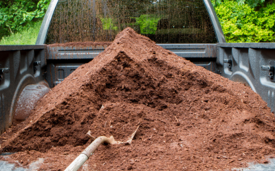 Ute-of-Mulch