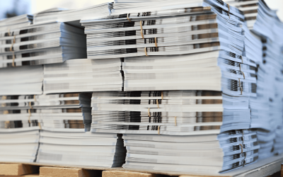 shutterstock_2251941679